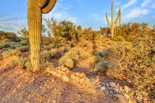 7143 E Highland Rd, Cave Creek, AZ 85331 - Photo 70