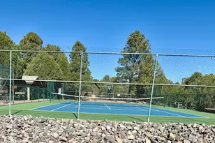 2761 Apollo Cir, Overgaard, AZ 85933 - Photo 44