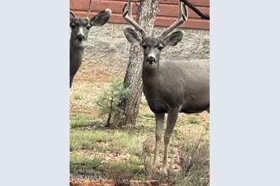 2761 Apollo Circle, Overgaard, AZ 85933 - Photo 50