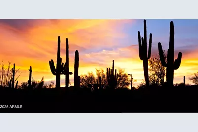 9130 N Hummingbird Trail, Fountain Hills, AZ 85268 - Photo 50