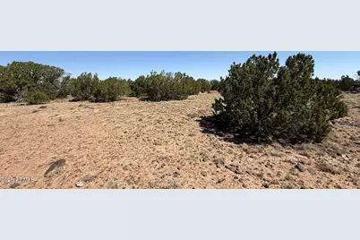 0 Colts Way Lot 5 -- #2005, Concho, AZ 85924 - Photo 8