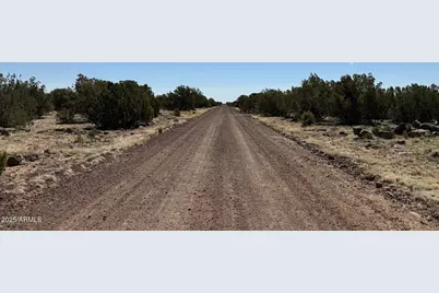 0 Colts Way Lot 5 -- #2005, Concho, AZ 85924 - Photo 2