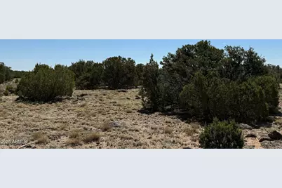 0 Colts Way Lot 5 -- #2005, Concho, AZ 85924 - Photo 6