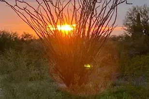 8799 E Brilliant Sky Circle, Gold Canyon, AZ 85118 - Photo 36