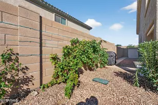 2908 N 141st Ave, Goodyear, AZ 85395 - Photo 46
