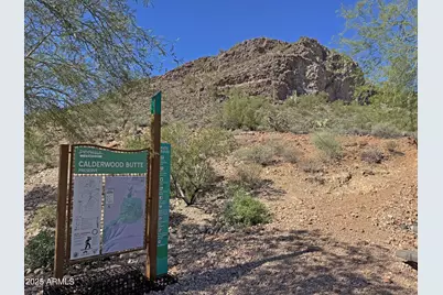 9916 W Redbird Road, Peoria, AZ 85383 - Photo 64