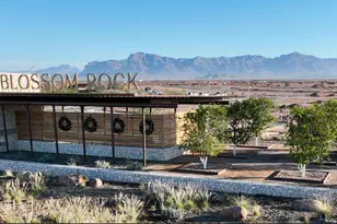 556 W Fremont Pass, Apache Junction, AZ 85120 - Photo 6