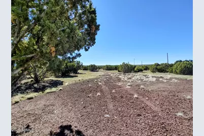 1639 Silver Lake Boulevard #012B, Show Low, AZ 85901 - Photo 8