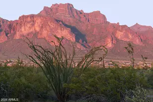 1532 N Roadrunner Rd, Apache Junction, AZ 85119 - Photo 1