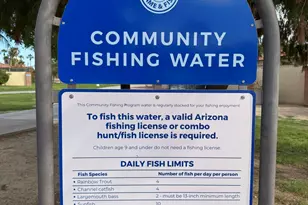 702 W Cambridge Ave, Phoenix, AZ 85007 - Photo 46