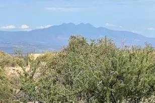 26413 N 119th St, Scottsdale, AZ 85255 - Photo 14