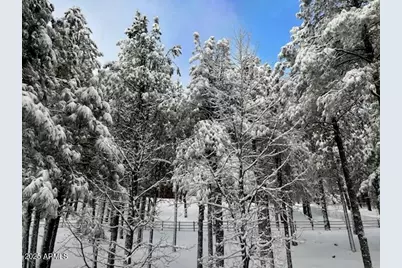 2777 Bear Howard --, Flagstaff, AZ 86005 - Photo 6