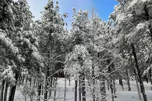 2777 Bear Howard, Flagstaff, AZ 86005 - Photo 6