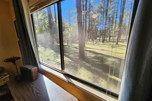 247 W Diamond Rd, Payson, AZ 85541 - Photo 20