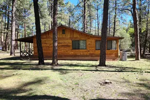 247 W Diamond Rd, Payson, AZ 85541 - Photo 42