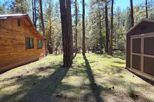 247 W Diamond Rd, Payson, AZ 85541 - Photo 40