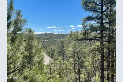 861 E Pine Oaks Drive, Show Low, AZ 85901 - Photo 4