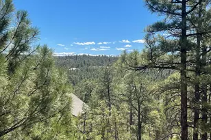 861 E Pine Oaks Dr, Show Low, AZ 85901 - Photo 4