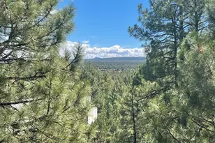 861 E Pine Oaks Dr, Show Low, AZ 85901 - Photo 2