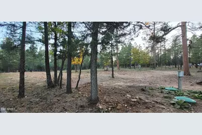 2857 Sparrow Drive #22, Happy Jack, AZ 86024 - Photo 6