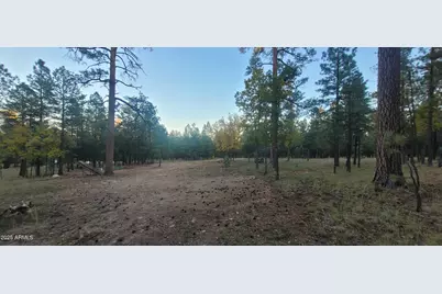 2857 Sparrow Drive #22, Happy Jack, AZ 86024 - Photo 4