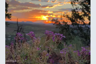 80 County Rd N3313 --, Vernon, AZ 85940 - Photo 50