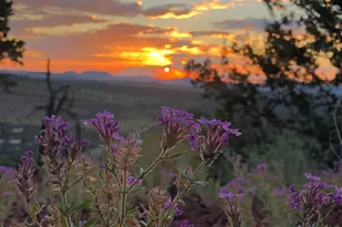 80 County Rd N3313 --, Vernon, AZ 85940 - Photo 50