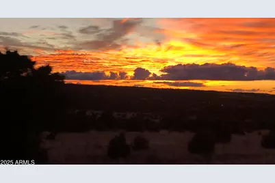 80 County Rd N3313 --, Vernon, AZ 85940 - Photo 42