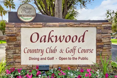 8838 E Copper Drive, Sun Lakes, AZ 85248 - Photo 54