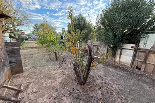 1810 Tomahawk Dr, Douglas, AZ 85607 - Photo 4