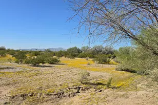 39376 61 1/2 E Ave, Salome, AZ 85348 - Photo 42