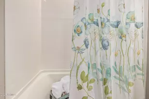 3983 W Serpentine Dr, San Tan Valley, AZ 85144 - Photo 40