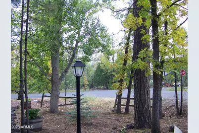 1167 E White Tail --, Pinetop, AZ 85935 - Photo 46