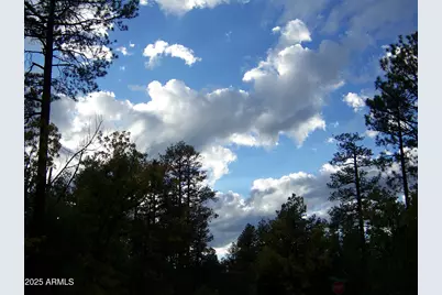 1167 E White Tail --, Pinetop, AZ 85935 - Photo 56