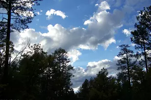 1167 E White Tail --, Pinetop, AZ 85935 - Photo 56