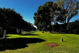 10318 W Manzanita Dr, Sun City, AZ 85373 - Photo 8