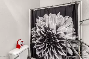 31822 N 169th Ave, Surprise, AZ 85387 - Photo 26