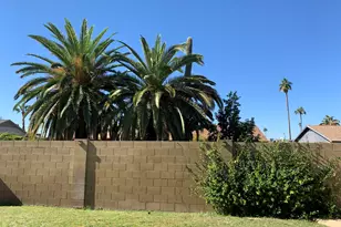 800 W Marlboro Dr, Chandler, AZ 85225 - Photo 52