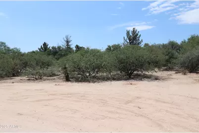 Tbd S Hwy 80 Way, Cochise, AZ 85606 - Photo 4