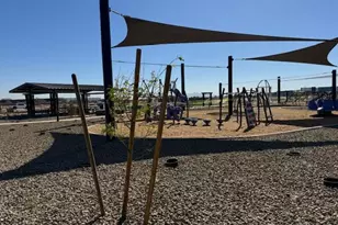 15622 W Brown Ave, Waddell, AZ 85355 - Photo 18