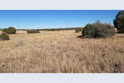 42700 W Hard Rock Way #-, Seligman, AZ 86337 - Photo 8