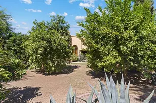 10563 E Carol Ave, Scottsdale, AZ 85258 - Photo 28