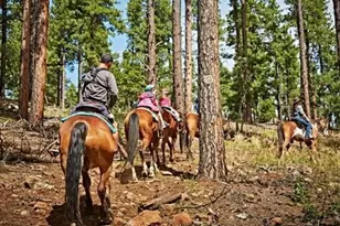 867 Hilltop Dr, Mormon Lake, AZ 86038 - Photo 24