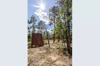 6385 W White Mountain Boulevard, Show Low, AZ 85901 - Photo 42