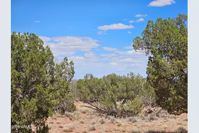 27 N N9183 -- #72, Concho, AZ 85924 - Photo 1