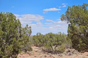 27 N N9183 --, Concho, AZ 85924 - Photo 1