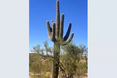 0 S Cortez Road #A, Apache Junction, AZ 85119 - Photo 8