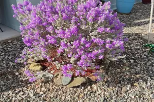 2050 W State Route 89A -- W, Cottonwood, AZ 86326 - Photo 10