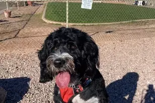 8700 E University Dr, Mesa, AZ 85207 - Photo 46