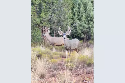 121 E Mallard Drive #90, Sedona, AZ 86336 - Photo 26